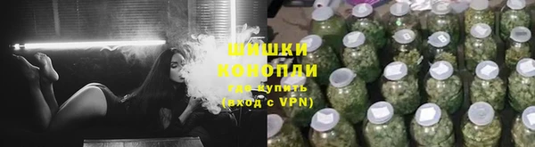 ГАЛЛЮЦИНОГЕННЫЕ ГРИБЫ Алзамай