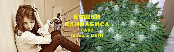 ГАЛЛЮЦИНОГЕННЫЕ ГРИБЫ Алзамай